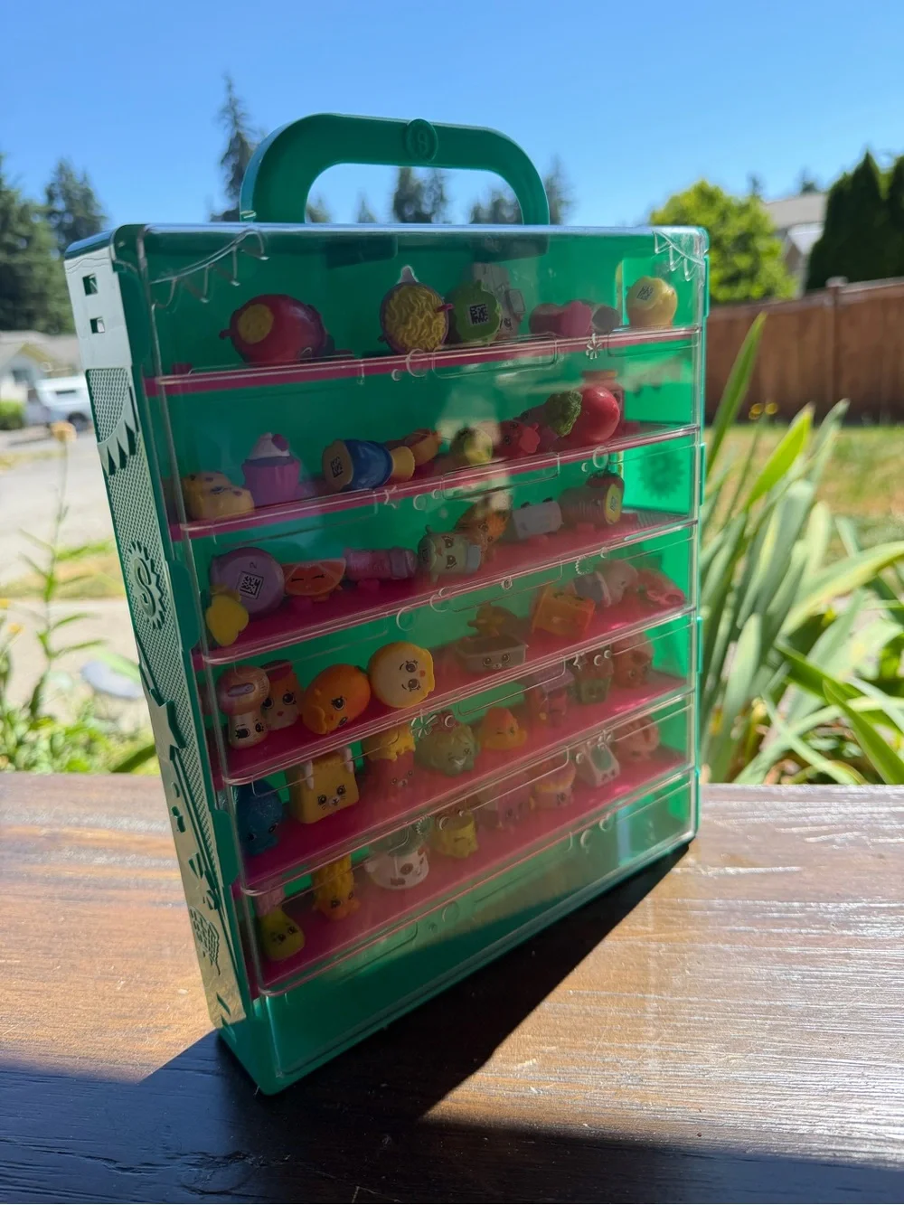 Shopkins Green Carry Case with Pink Shelves - Collectible Display 53 toys